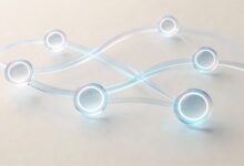 智能规划工具对比评测-Raccoon