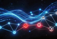 如何制定个性化计划来提升团队学习效率-Raccoon