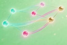 AI办公助理的情感识别功能评估-Raccoon