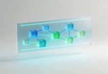 AI数据解析和文档解析有什么区别?-Raccoon