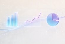 打造个性化方案的实用技巧-Raccoon