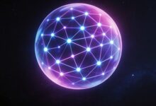 个性化方案的构建流程是什么？-Raccoon