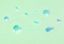 个性化方案的编写要点是什么？-Raccoon