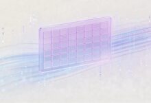 金融行业如何用AI分析报告？-Raccoon