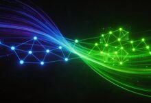 企业知识管理最佳实践是什么？-Raccoon