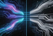 办公文本分析用AI有用吗？-Raccoon