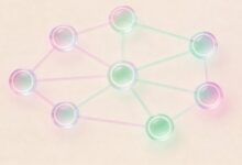 如何在项目管理中实现个性化方案的快速落地？-Raccoon