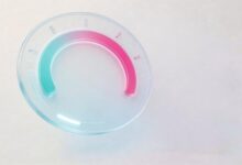 知识库检索功能如何提升搜索效率？-Raccoon