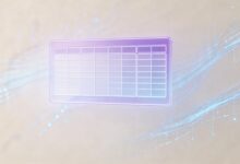 数据驱动个性化分析的完整流程详解-Raccoon