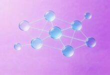 知识库搜索排名怎么优化？SEO技巧-Raccoon