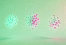 智能办公助理的用户体验设计原则-Raccoon