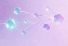 大模型重点提取的优化策略-Raccoon