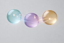 AI资产管理平台的选择要点有哪些？-Raccoon