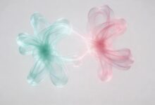 怎么确保私密知识库的访问安全?-Raccoon