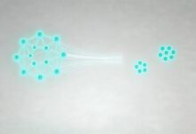 AI预测 time series data？-Raccoon