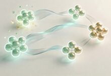 AI智能分析会完全取代传统数据分析师岗位吗？-Raccoon