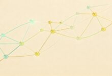 AI个性化方案生成的实现步骤-Raccoon