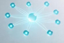 专业文档分析为何需要AI要素提取？-Raccoon