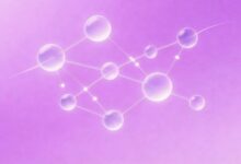 AI重点提取在媒体内容审核中的优势-Raccoon