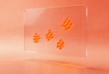 富文档分析在数字图书馆中的实际应用有哪些?-Raccoon