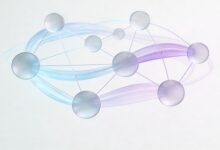 AI个性化方案生成的典型行业案例-Raccoon