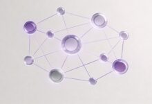 大模型要素提取支持PDF扫描件吗？-Raccoon