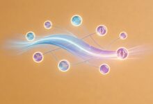 AI制定方案可以修改几次？-Raccoon