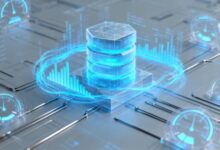 大模型要素提取的API接口怎么用？-Raccoon