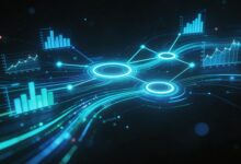 个性化方案生成平台哪个靠谱？-Raccoon