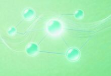 大模型要素提取在简历筛选中的应用-Raccoon