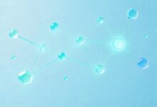 大模型分析信息多轮对话优化方法-Raccoon