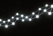 大模型要素提取在错题本整理中的实用方法-Raccoon