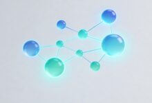 AI方案计划的可行性分析？-Raccoon