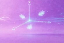 大模型快速分析法律文书？合同条款风险点自动识别-Raccoon