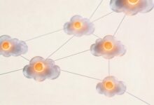 AI解历史题如何判断史料真伪？可信度分析-Raccoon