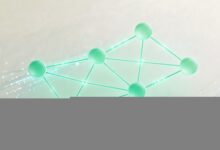 AI图表分析工具推荐：免费在线使用指南-Raccoon