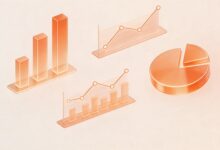 文档资产管理最佳方案-Raccoon