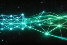 个性化计划生成软件有哪些？全面测评-Raccoon