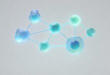 企业文档资产管理最佳平台-Raccoon