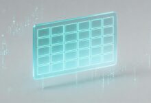 私有知识库维护成本是多少？-Raccoon