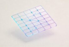 AI数据洞察在营销策略制定中的作用是什么？-Raccoon