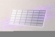 安全数据库怎么搭建？企业数据安全存储方案-Raccoon