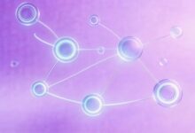 知识库检索性能优化的关键技巧-Raccoon