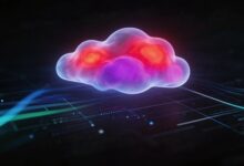 任务增强训练数据如何生成？-Raccoon