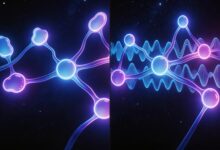 AI个性化方案生成的最佳实践指南-Raccoon