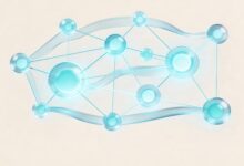 如何保证私密知识库的数据安全？加密保护-Raccoon