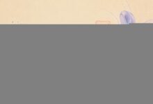 企业为什么要用AI进行文档分析？-Raccoon