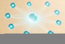 AI分析数据需要编程基础吗？Python／R／SQL零基础入门-Raccoon