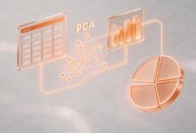 AI知识库维护需要做什么？-Raccoon