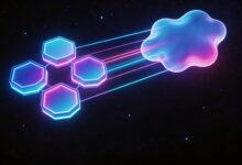 如何用大模型解偏微分方程？-Raccoon